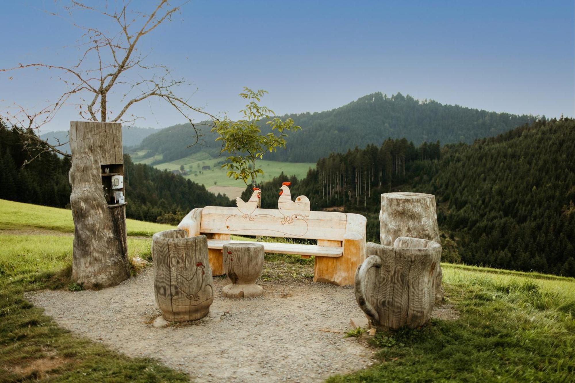 Landhotel Gasthaus Zum Pflug Zell am Harmersbach Exteriér fotografie