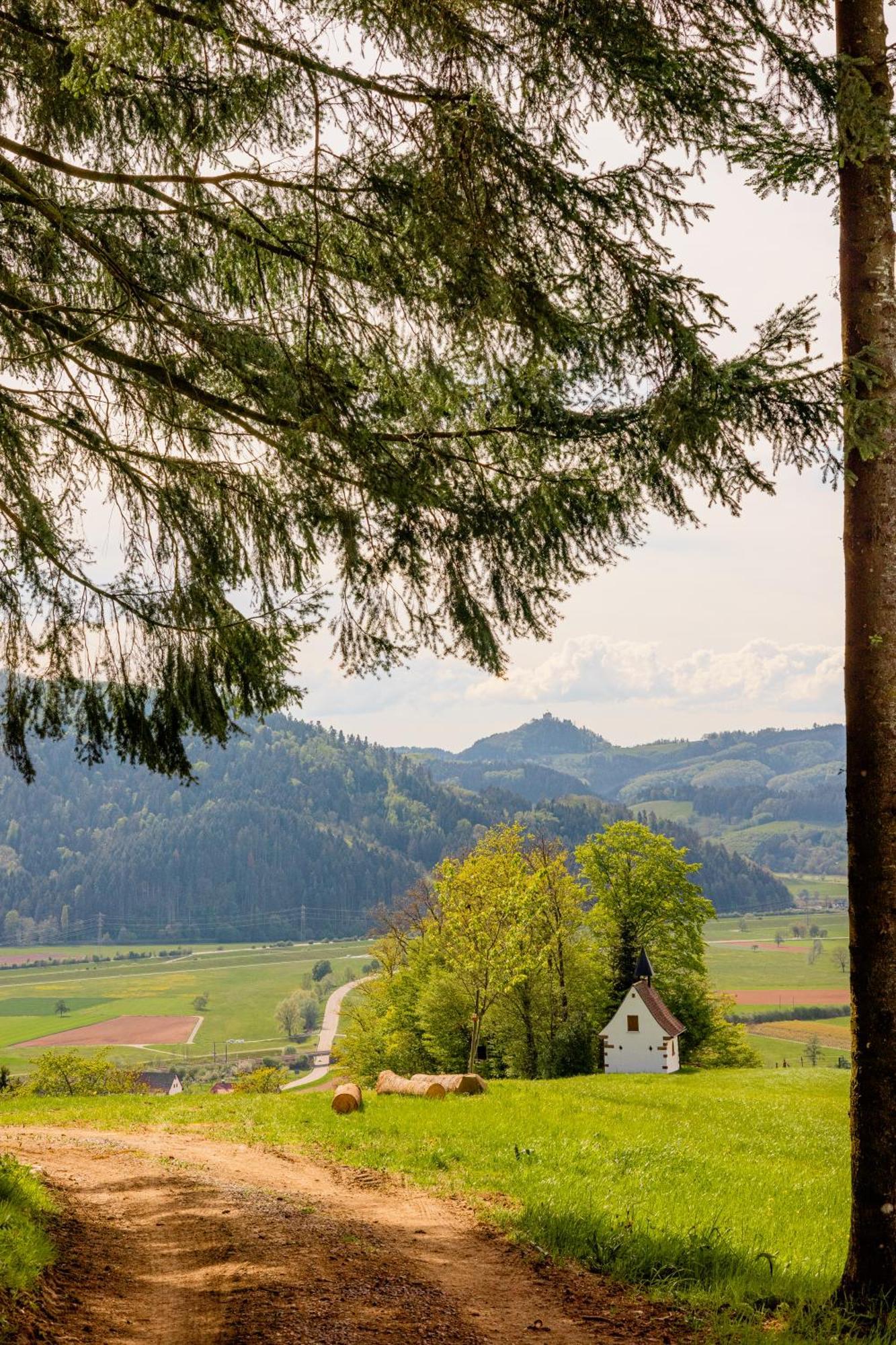 Landhotel Gasthaus Zum Pflug Zell am Harmersbach Exteriér fotografie